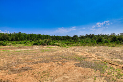 3104 Tracker Lane, Warrenville, South Carolina - Ficus