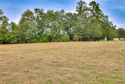 110 Foxridge  Court, Metter, Georgia - Ficus