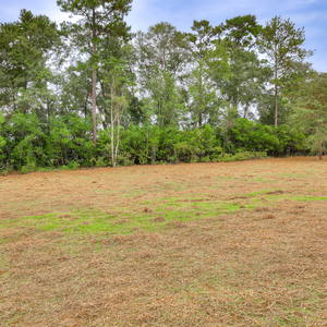 140 Foxridge  Court, Metter, Georgia - Bridgeport