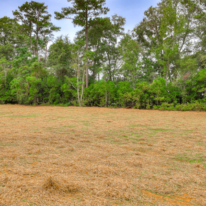 130 Foxridge  Court, Metter, Georgia - Hamilton