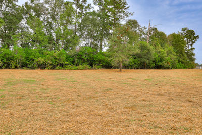 130 Foxridge  Court, Metter, Georgia - Hamilton