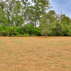 130 Foxridge  Court, Metter, Georgia - Hamilton