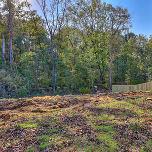 815 Snow Bunting Ct, North Augusta, South Carolina - Creston